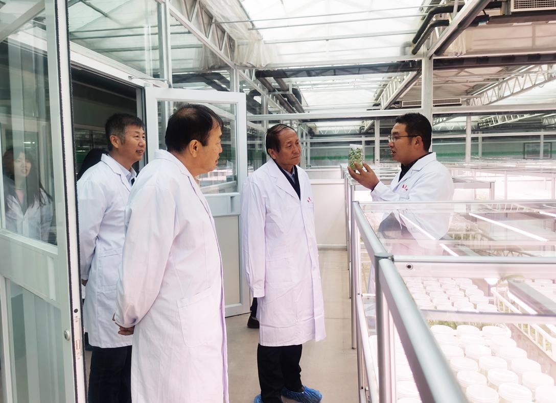 自治區(qū)級龍頭企業(yè)審核工作進(jìn)行時(shí)